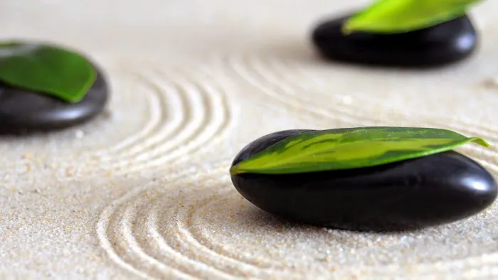 Studio Zero G Picture 6