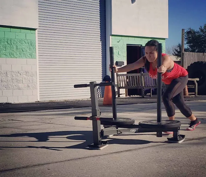 CROSSFIT PANOPLY Picture 6