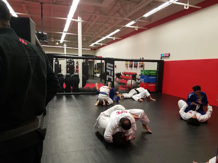 UFC GYM Orlando Picture 6