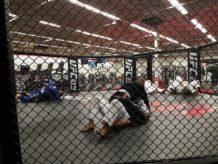UFC GYM Orlando Picture 10