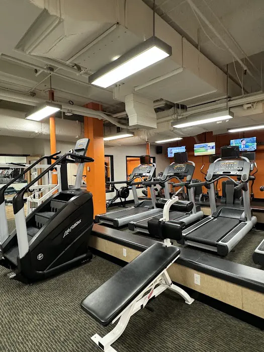 Citrus Club Spa & Fitness Center Picture 3