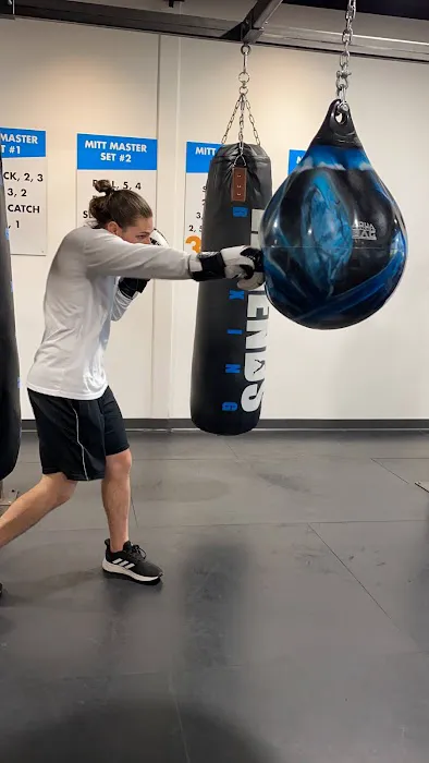 Legends Boxing - Lee Vista Picture 4