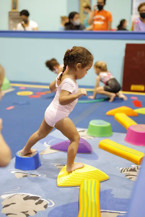 Reflex Gymnastics Lake Nona Picture 4