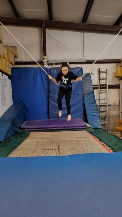 Florida Flips Gymnastics Picture 3