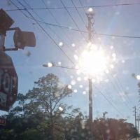 Polk State College Exercise Park ico