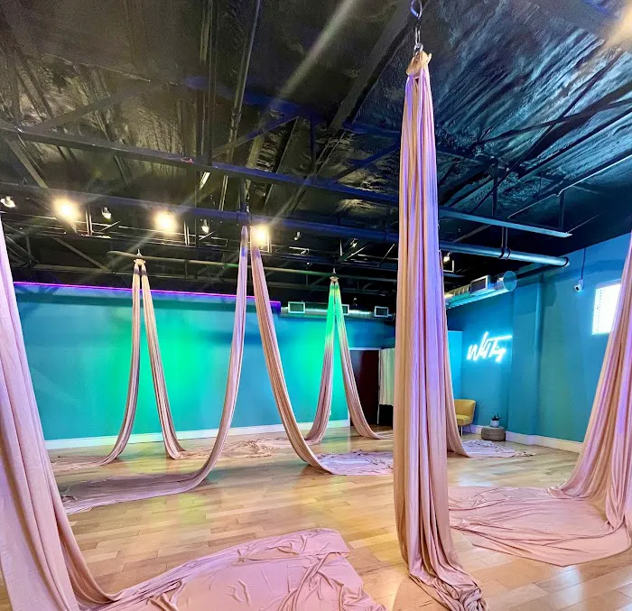 Flutter Fitness Studio Picture 5