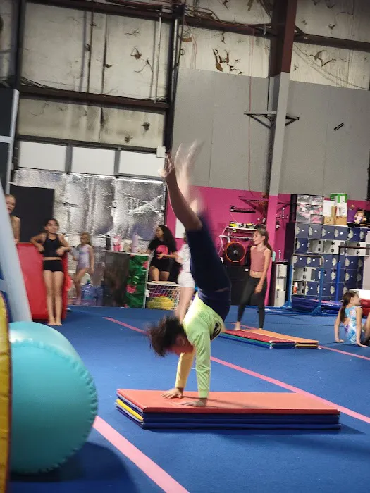 Junglenastics Picture 1