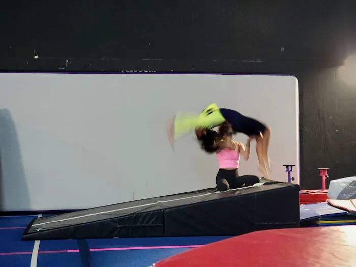 Junglenastics Picture 3