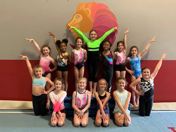 Junglenastics Picture 4