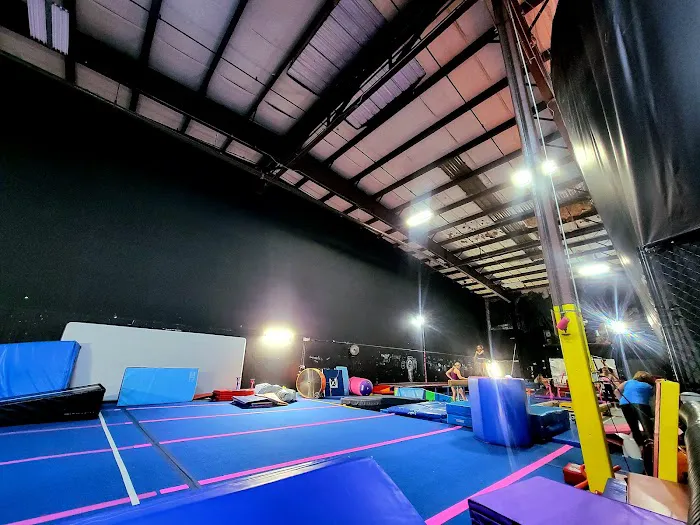 Junglenastics Picture 2