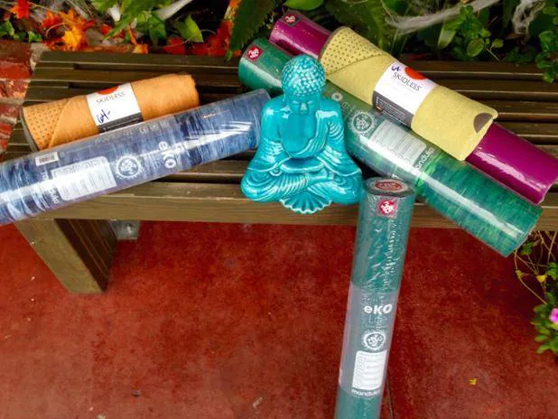 Warrior ONE Yoga & Fitness (spin, row, strength training) Picture 7