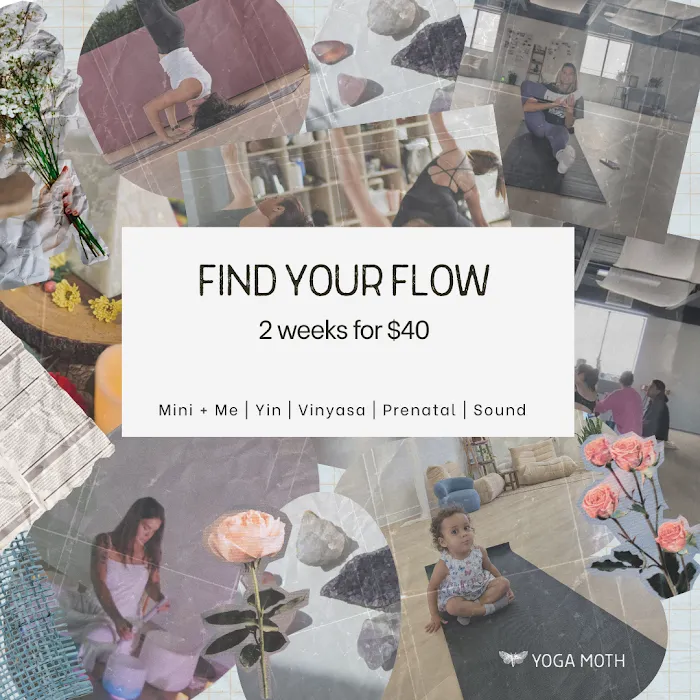 Yoga Moth Picture 10