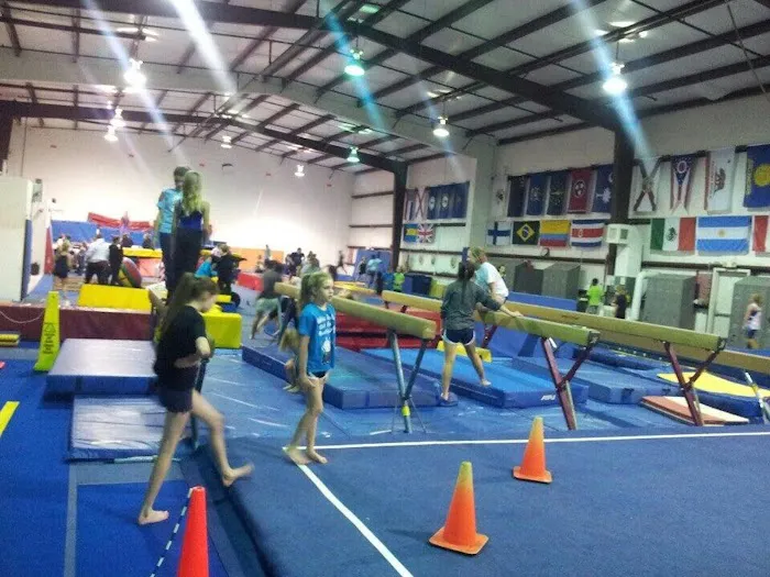 Reflex Gymnastics Azalea Park Picture 8