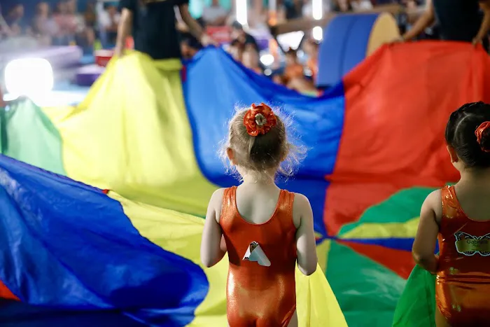 Reflex Gymnastics Azalea Park Picture 6