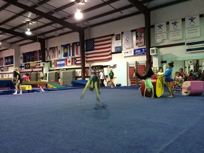 Reflex Gymnastics Azalea Park Picture 3