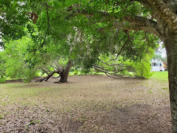 Lake Baldwin Running trail Picture 10