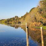 Lake Baldwin Running trail
