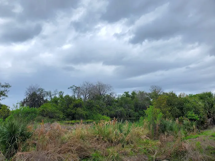 Lake Baldwin Running trail Picture 7