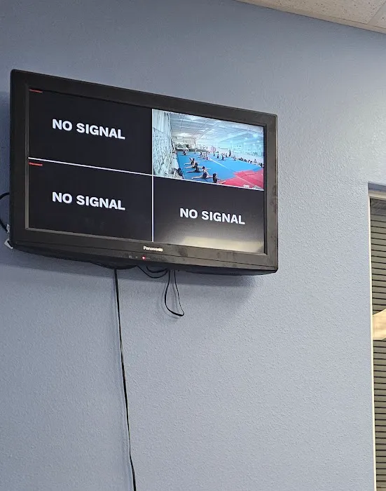 Brandy Johnson's Global Gymnastics Picture 8