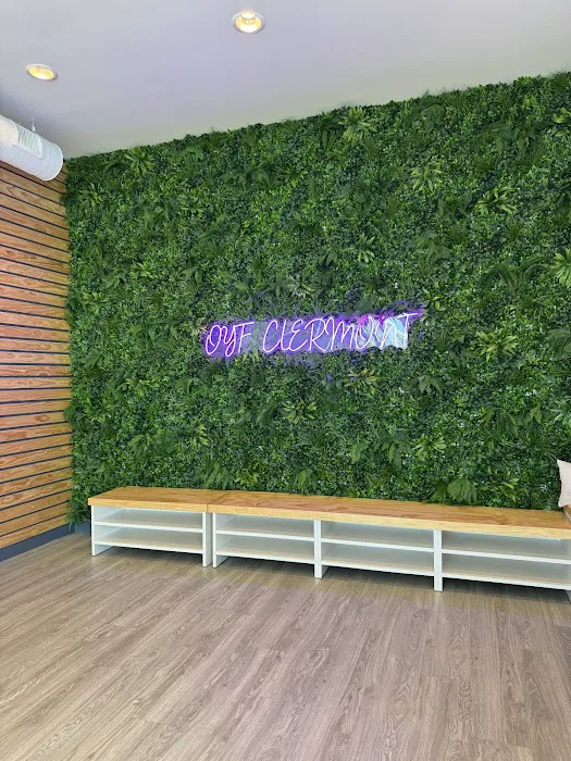 Oxygen Yoga & Fitness Clermont Picture 10