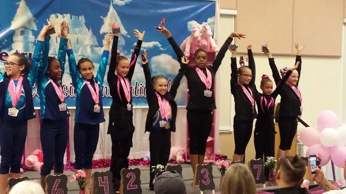 Spirit Gymnastics Sports Academy Picture 3