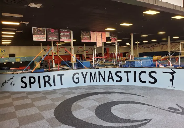 Spirit Gymnastics Sports Academy Picture 9