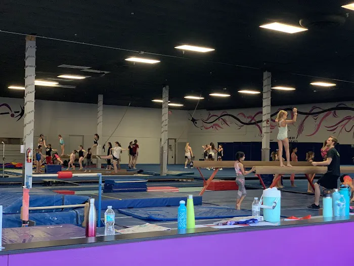 Spirit Gymnastics Sports Academy Picture 4