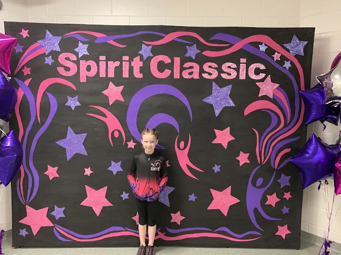 Spirit Gymnastics Sports Academy Picture 8