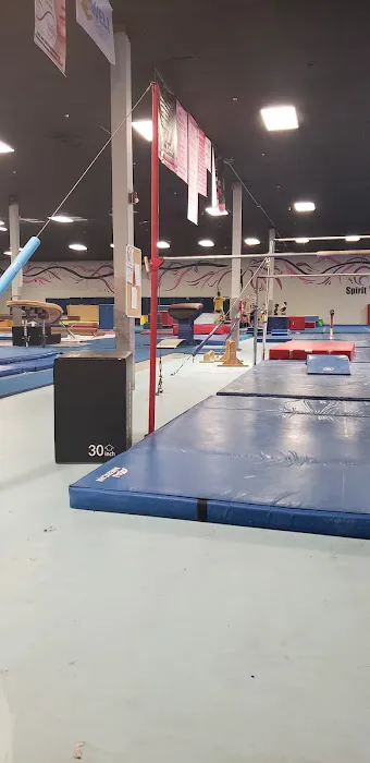 Spirit Gymnastics Sports Academy Picture 6