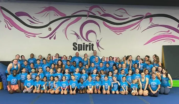 Spirit Gymnastics Sports Academy Picture 2