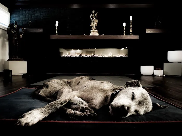 College Park Yoga Picture 9