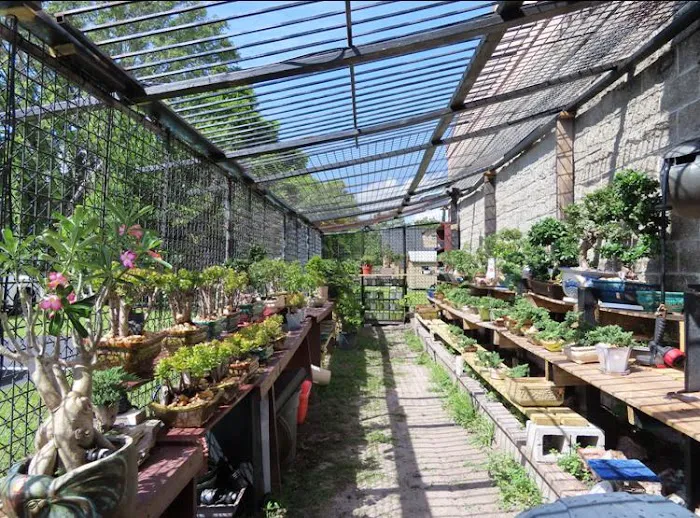 Master Nguyen's Mind & Body Transform Center Picture 3