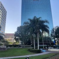 Master Nguyen's Mind & Body Transform Center ico