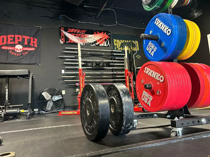 Bear Iron Barbell Picture 7