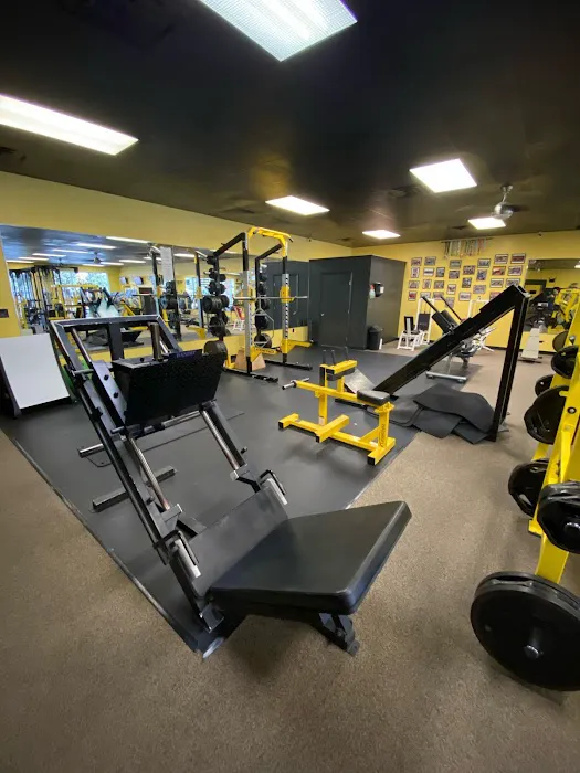 Power Fitness Picture 4