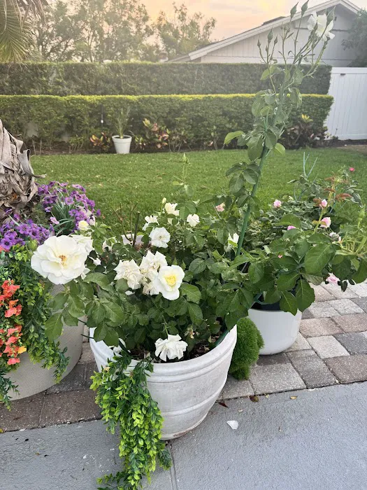 All Inclusive CrossFit Picture 5