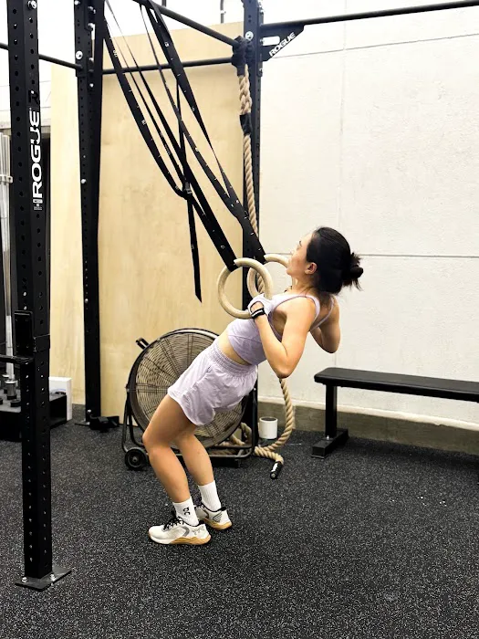 All Inclusive CrossFit Picture 4