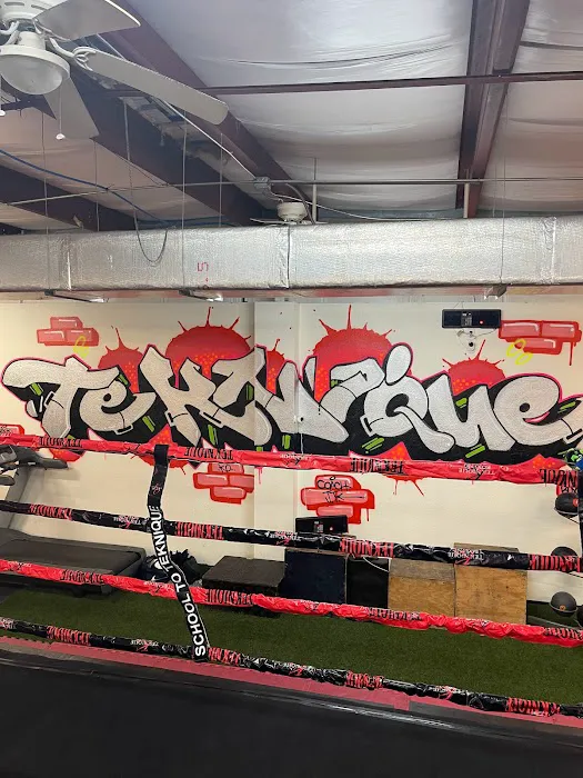 Teknique Boxing Picture 4