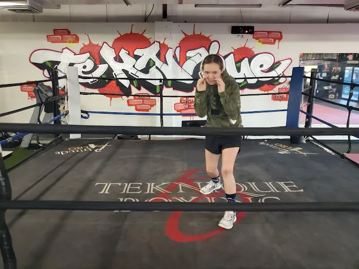 Teknique Boxing Picture 7