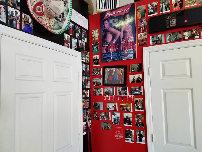 Teknique Boxing Picture 5