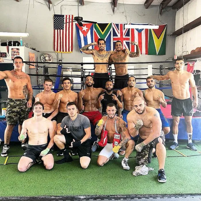 Teknique Boxing Picture 10