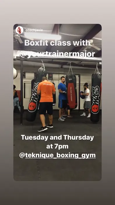 Teknique Boxing Picture 1