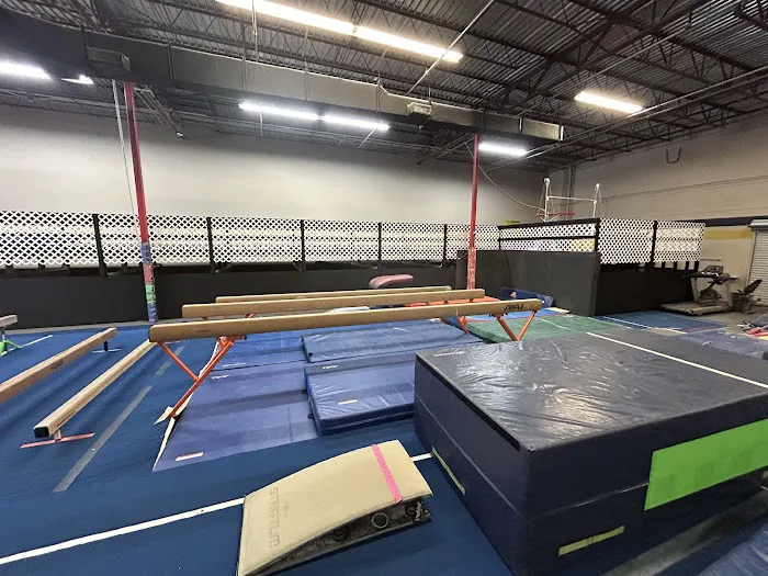 Clermont Gymnastics Academy Picture 2