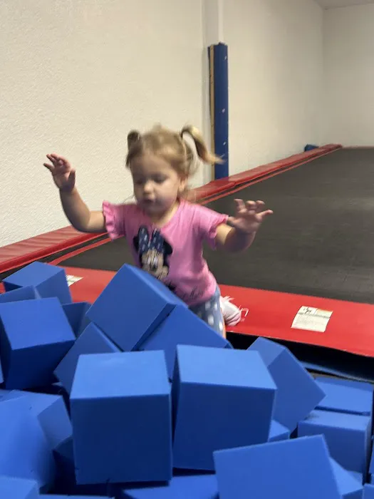 Clermont Gymnastics Academy Picture 3