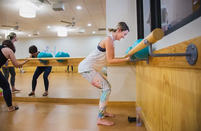 barre3 Picture 4