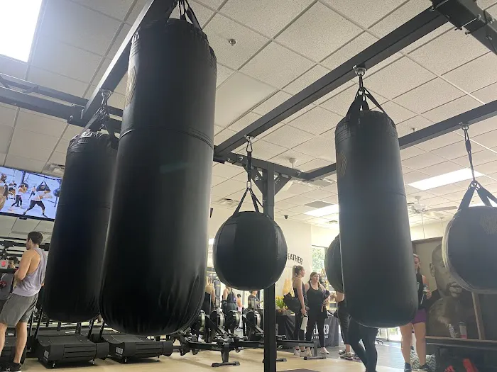 Mayweather Boxing + Fitness Picture 5