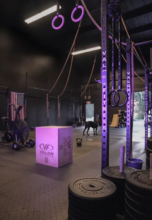 CrossFit Corso Picture 5