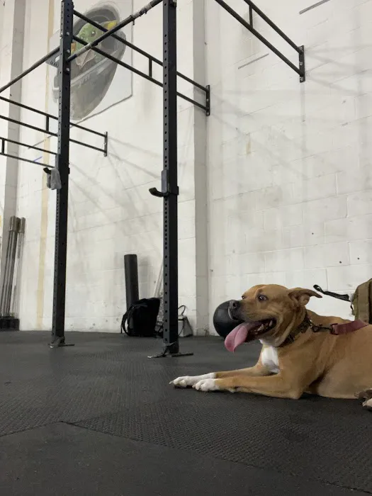 Uncanny Fitness Picture 5