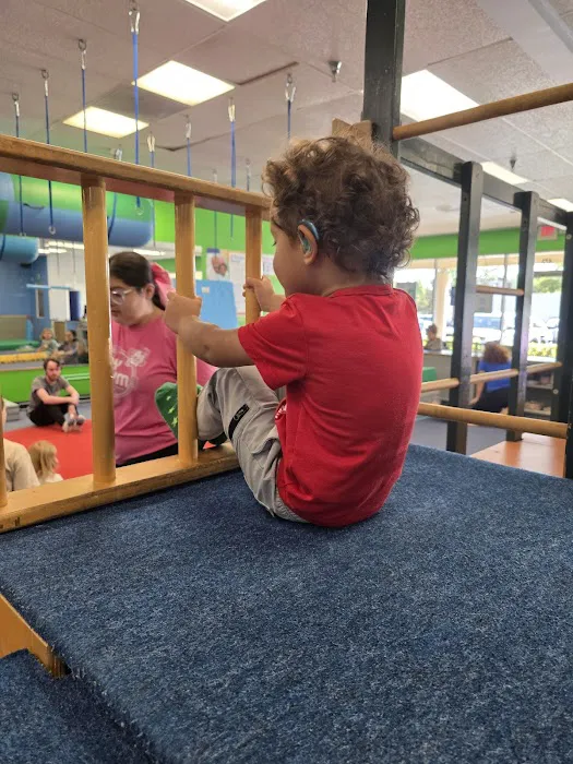 My Gym Maitland Picture 3