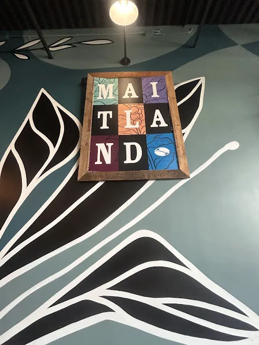 FIT + FIRE Maitland Picture 10